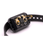 Educator E-Collar Contact Points