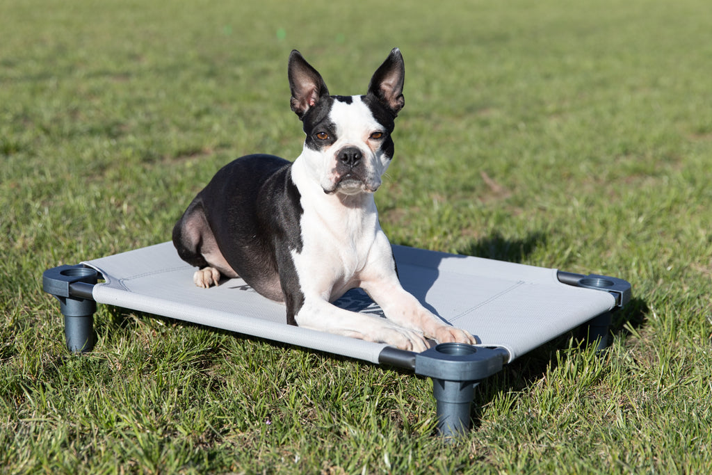 Ruff Swag Dog Bed