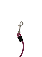 Rolled Biothane Clip Leash