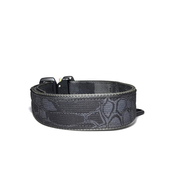 1.75" RS Accent Tactical Collar with Custom Embroidery