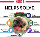 KONG - Classic Dog Toy