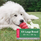 KONG - Classic Dog Toy