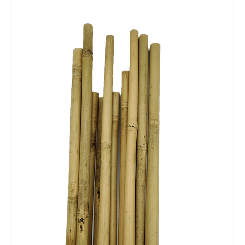 Bamboo Training Sticks (Bundle of 10)