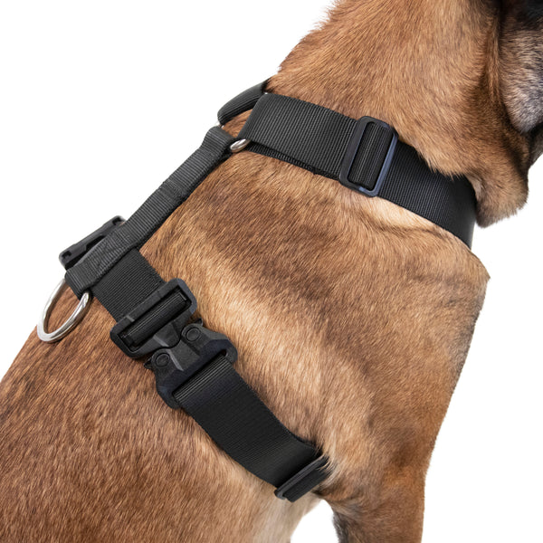 Ruff Swag Adult Dog Harness