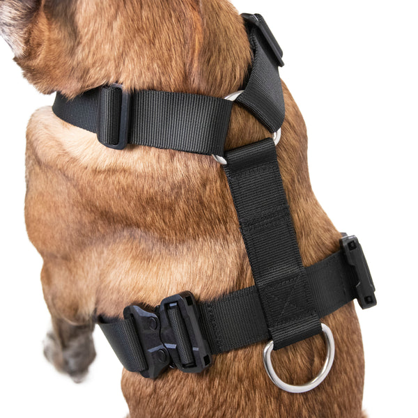 Ruff Swag Adult Dog Harness