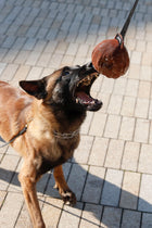 Ruff Swag Leather Ball with Tab